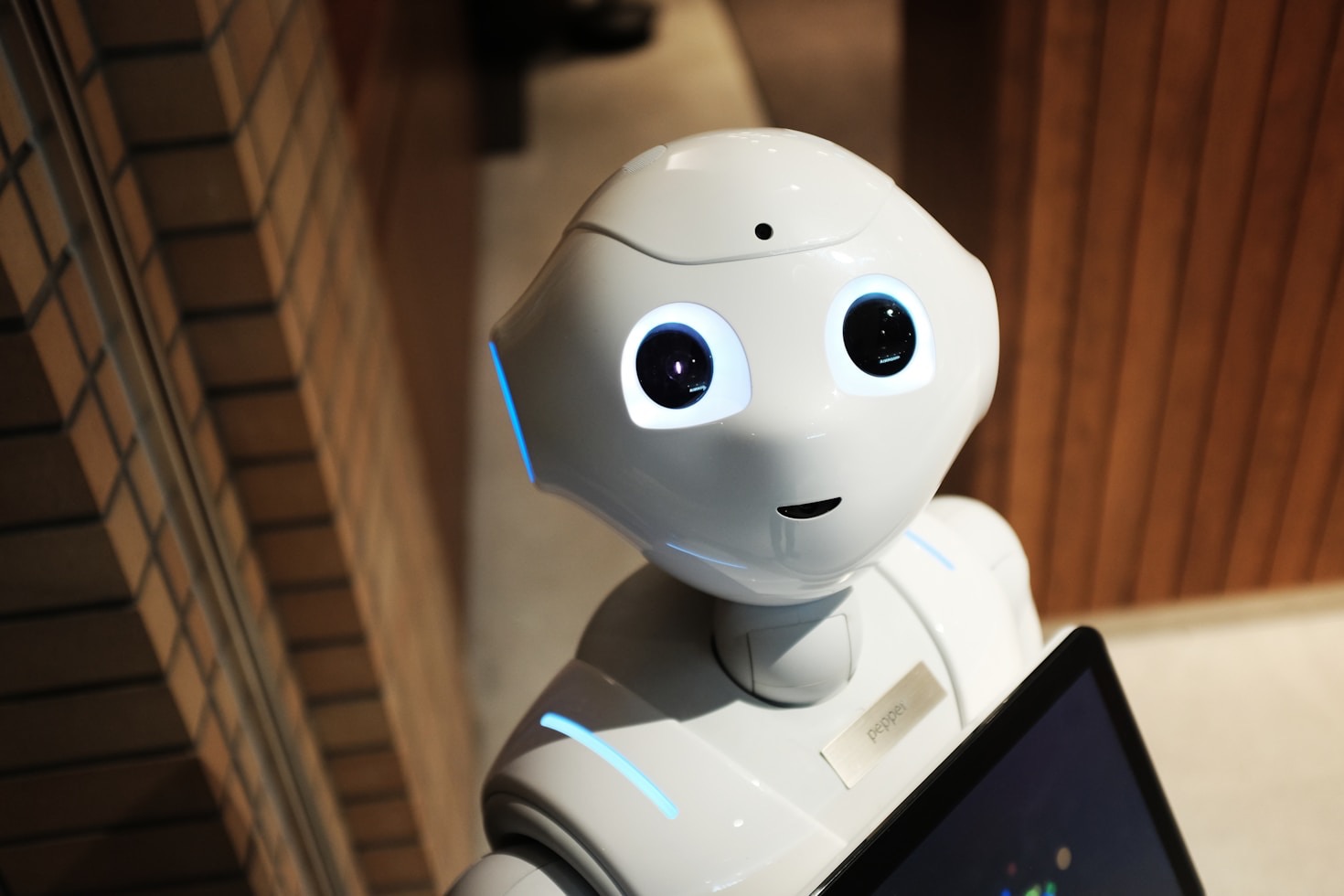 Von der Idee zum fertigen Roboter Modell